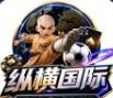 纵横国际